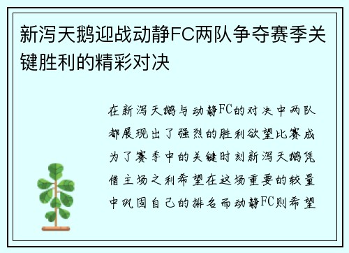 新泻天鹅迎战动静FC两队争夺赛季关键胜利的精彩对决